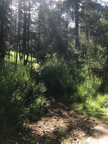Imagen 7 de 7 de Venta Terreno Xochimilco Para Inversionistas
