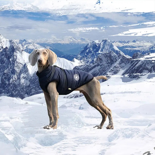 Chaleco Para Perro Impermeable Con Pretal Reflectante 4xl - Negro