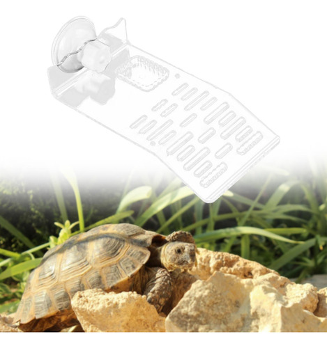 Accesorios De De Tortuga Suministros De Acuario Claro S