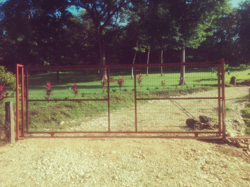 Imagen 10 de 11 de Terrena De 1 Hectárea Con Casa