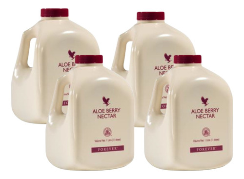 Gel Aloe Vera Natural Babosa Berry Nectar Nutricional