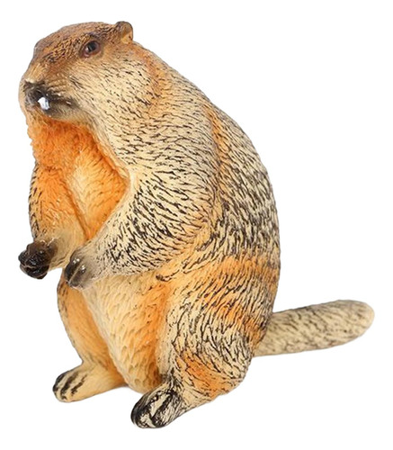 Juguete De Marmota, Modelo De Animal De Estilo D