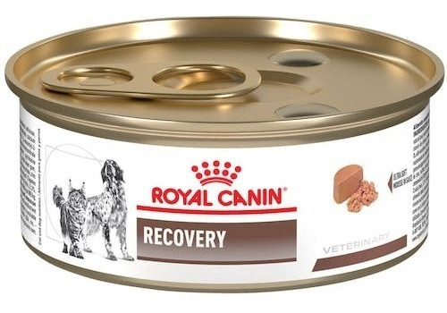 Kit 24 Latas Royal Canin Recovery Perro Y Gato 145 Grs C/u