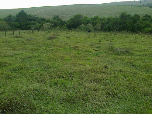 Imagem 3 de 8 de Chácara À Venda, 5000 M² Por R$ 375.000,00 - Ipiranga - Elias Fausto/sp - Ch0037