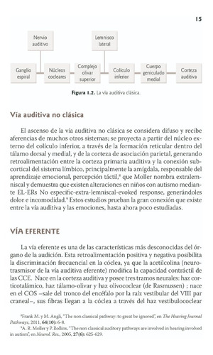 Rehabilitación De Los Trastornos Del Procesamiento Trillas