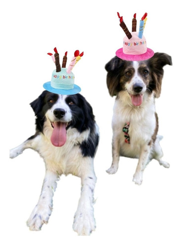 Imagen 5 de 5 de Gorro Cumpleaños Feliz Mascotas Perro Gato