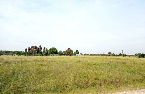 Terreno Lote En Venta En Coronel Suárez, Resto De La Provincia, Buenos Aires
