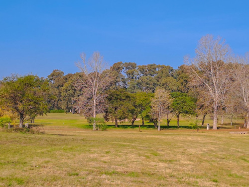 Oportunidad Gran Lote Interno De 3556 M2 Muy Lindas Vistas En Venta - Carmelo Golf