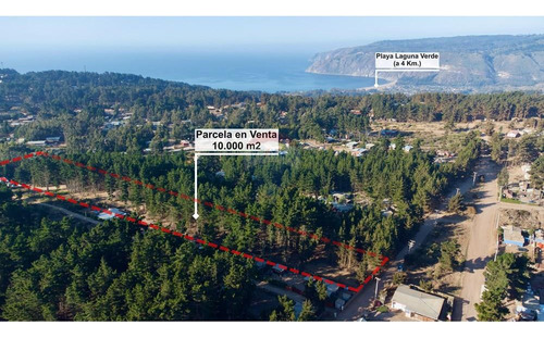 Excelente Parcela De 1 Hectárea En Laguna Verde