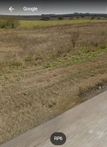 Imagen 3 de 4 de Se Vende Campo De 43.5 Hectareas En Rosario Del Tala, Entre Rios