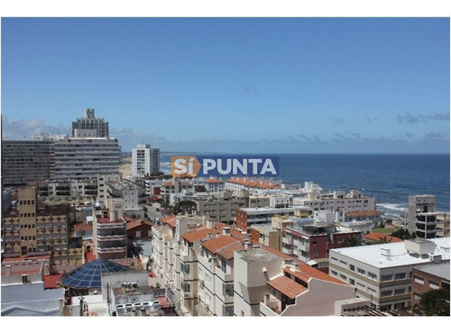 Imagen 6 de 30 de Apartamento En Alquiler Anual Zona De Península !!!