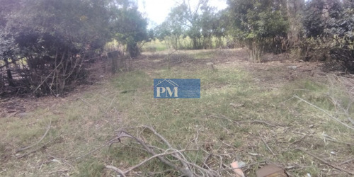 Terreno En Velloso