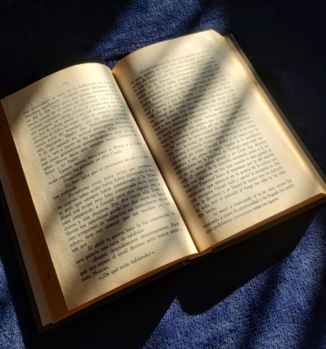 El Ruido Y La Furia (1929) - William Faulkner (Usado)