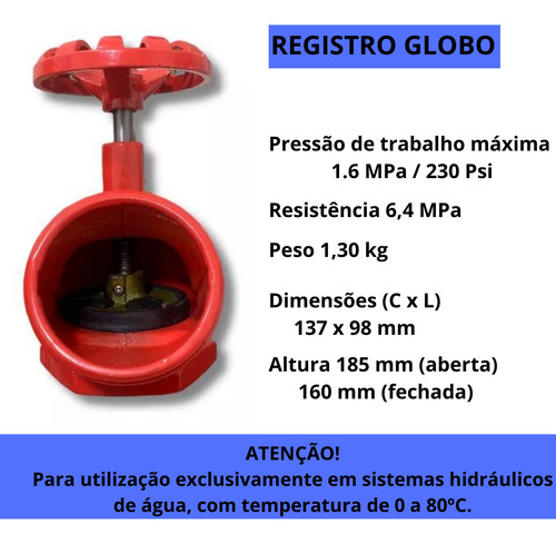 Válvula Globo Angular Pn16 2.1/2 X 45 Graus Segurimax