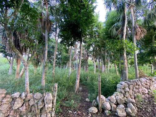 Ranchito Ideal Para Quinta En Yucatán México