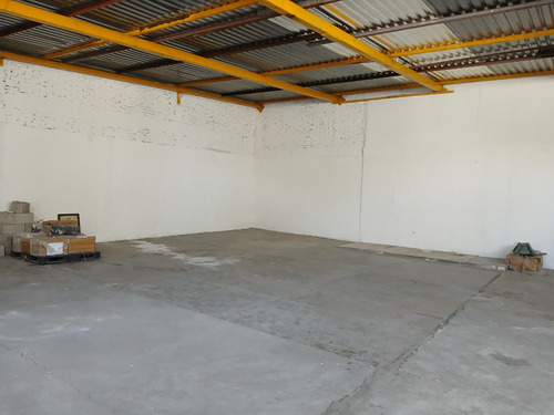 Bodega En Renta 170 M2 Taller - Almacen Zona Centrica X Av. Universidad