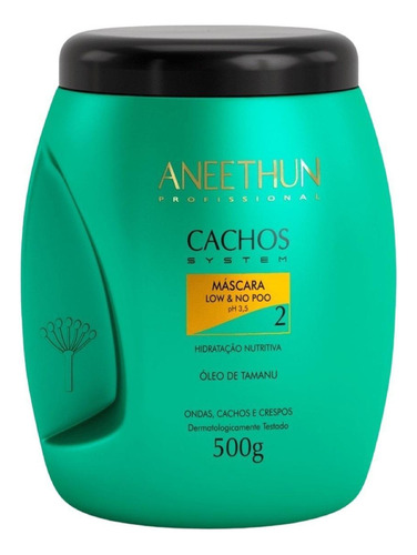 Kit Aneethun No Poo Co Wash Ondas E Cachos System (5 Itens)