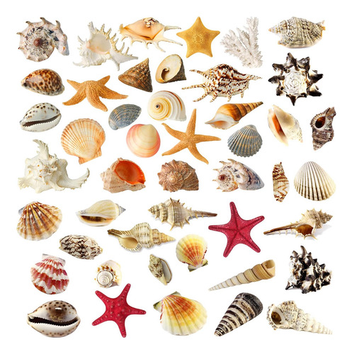 Calcomanías De Pared 3d Bajo El Mar Shell Para Baña, Calcoma