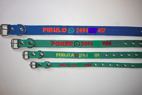 Imagen 7 de 8 de Collar Bordado Personalizado En 2,5 Cm De Ancho Pet Id