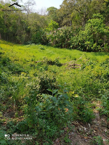 Imagem 1 de 8 de Terreno Residencial No Jardim Nova Cotia No Km39 Da Raposo Tavares - 306