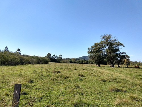 Chácara 15.000 M² - Costa Do Ipiranga - Gravataí - Rs - 1754 - 32429801