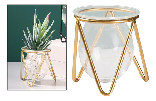 2 Jarrones De Cristal Para Plantas Hidropónicas, Marco De