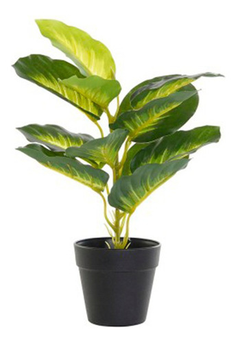 Planta Planta Para Oficina Sin Ventanas