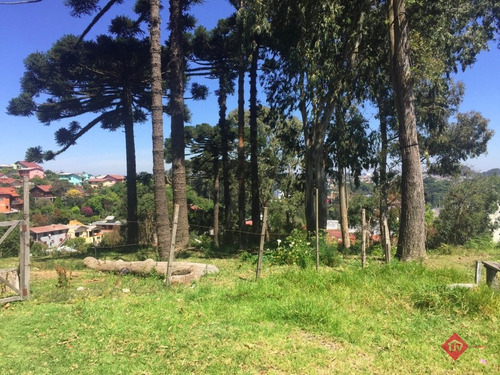 Imagem 2 de 5 de - V-1369