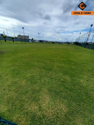 Imagem 20 de 28 de Terreno No Terras Alphaville - Te00271 - 34401629