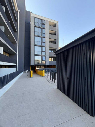 Estudio Nuevo (83323)