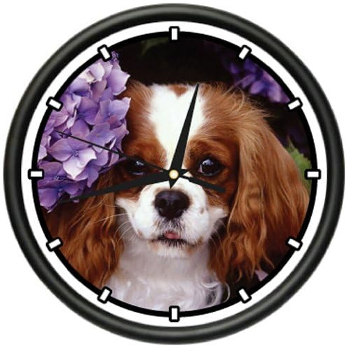 Reloj De Pared De   Spaniel, Mascotas Perros Cachorro, ...