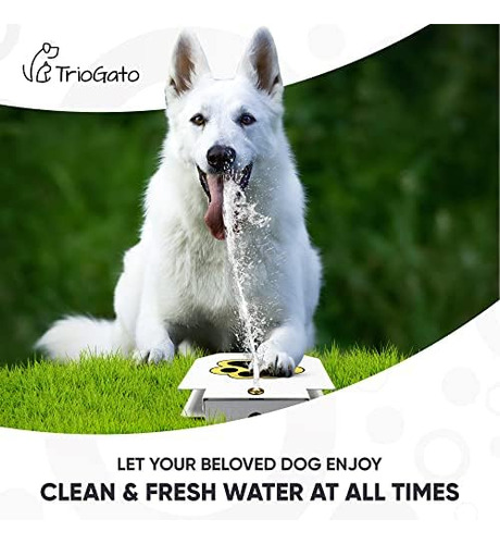 Fuente De Agua Potable Para Perros Al Aire Libre Para Perros