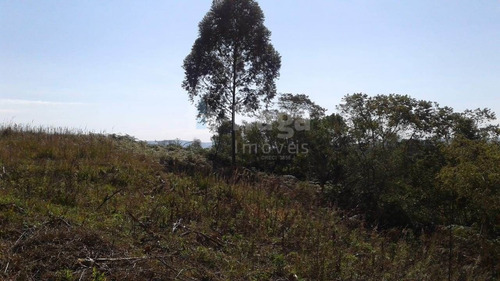 Imagem 7 de 10 de Chácara À Venda Em Vidal Ramos/sc - 1454c