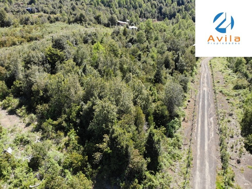 Caburgua Parcela De 5.000m2 Santa Margarita Cod.vtap133
