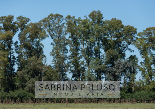 Venta Lote/terreno Plomer