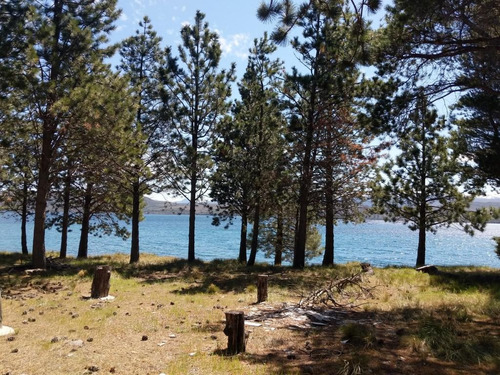Imagen 3 de 10 de Terreno - Dina Huapi