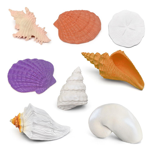 Mini Shell Moddle Conchas Marinas Para Niños Conchas Marinas