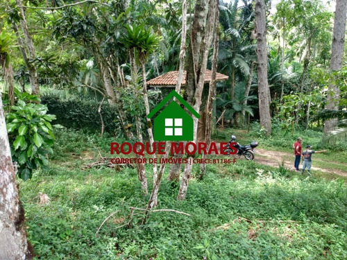 Imagem 13 de 13 de Terreno 7.000m² Em Próximo De Barnabés, Juquitiba-sp Ref: 0285