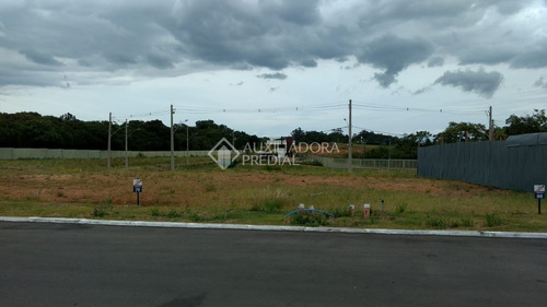 Imagem 9 de 15 de Terreno Em Condominio - Mario Quintana - Ref: 231870 - V-231870
