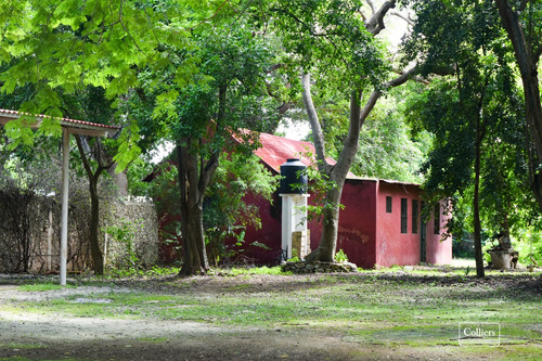 Hacienda De Usos Múltiples En Venta En Itzincab, Umán, Yucatán