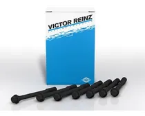 Comprar Juego Tornillos Tapa Cilindro Vw Nafta Vento 2.5 Motor Btk
