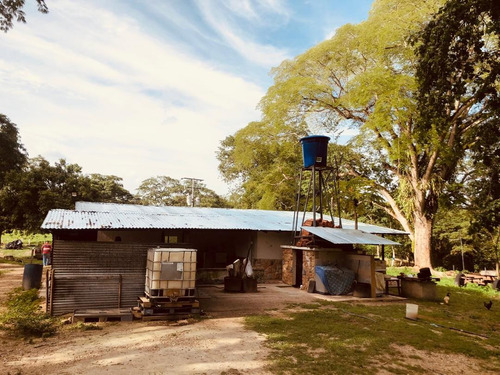 Casa Campestre, Finca Ganadera, En El Naipe, Carabobo. Zc.p