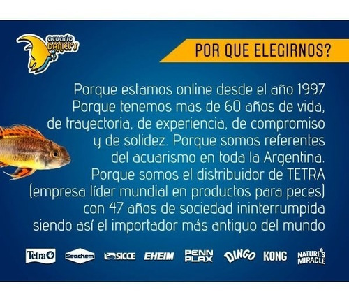 Imagen 5 de 8 de Correa Retráctil Kong Trail 5mts Medium Perros