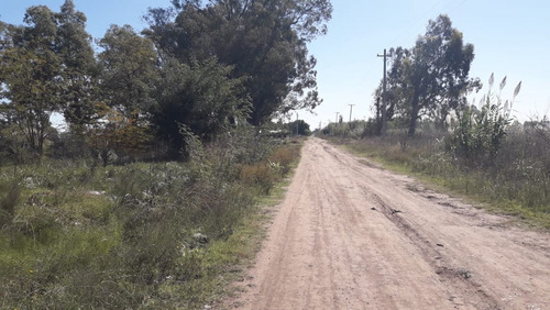 Imagen 7 de 12 de Excelente Lote 300 Mts Venta Mariano Acosta Merlo