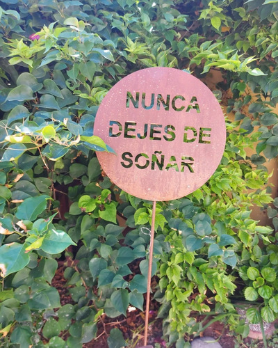 Imagen 10 de 10 de Set X6 Pincho Decorativo Y Tutor De Plantas En Chapa Oxidoo