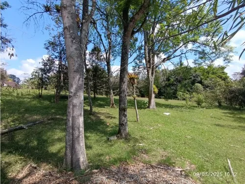 Vendo Lote En Llano Grande Vereda Cabeceras De 6.307 M² Sobre Vía