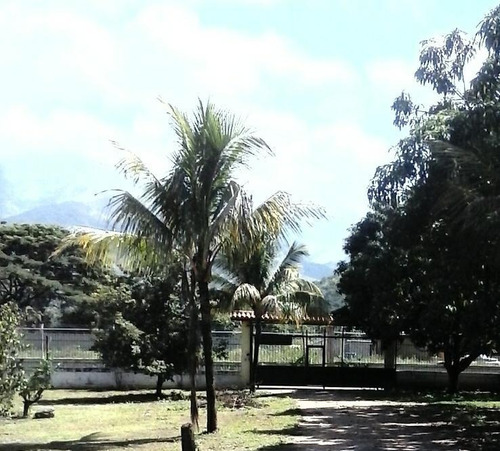 Imagen 14 de 16 de Se Vende Finca En El Polvero San Diego