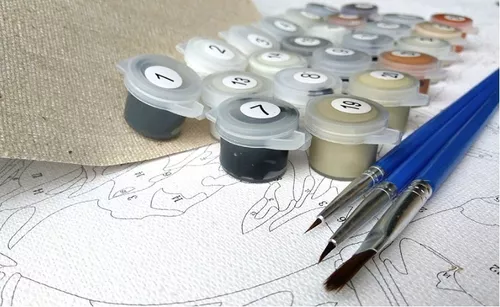Tinta ACANDYL por Number Stitch faça-você-mesmo kit de pintura por número  para crianças adultos pintura em tela DIY por números pintura em acrílico  artesanato para decoração de parede de casa pintura por