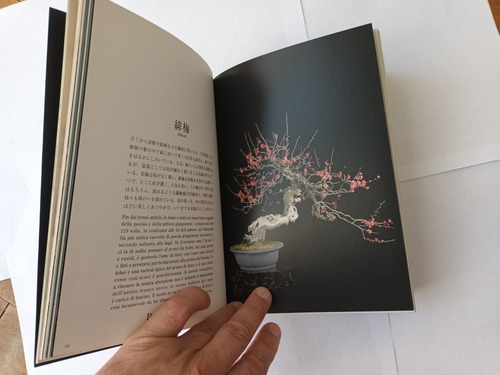 Libro Bonsai - Kunio Kobayashi. Edicion L Ippocampo Italiano (Usado)