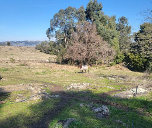 Terreno En Venta - 800mts2 - Tandil